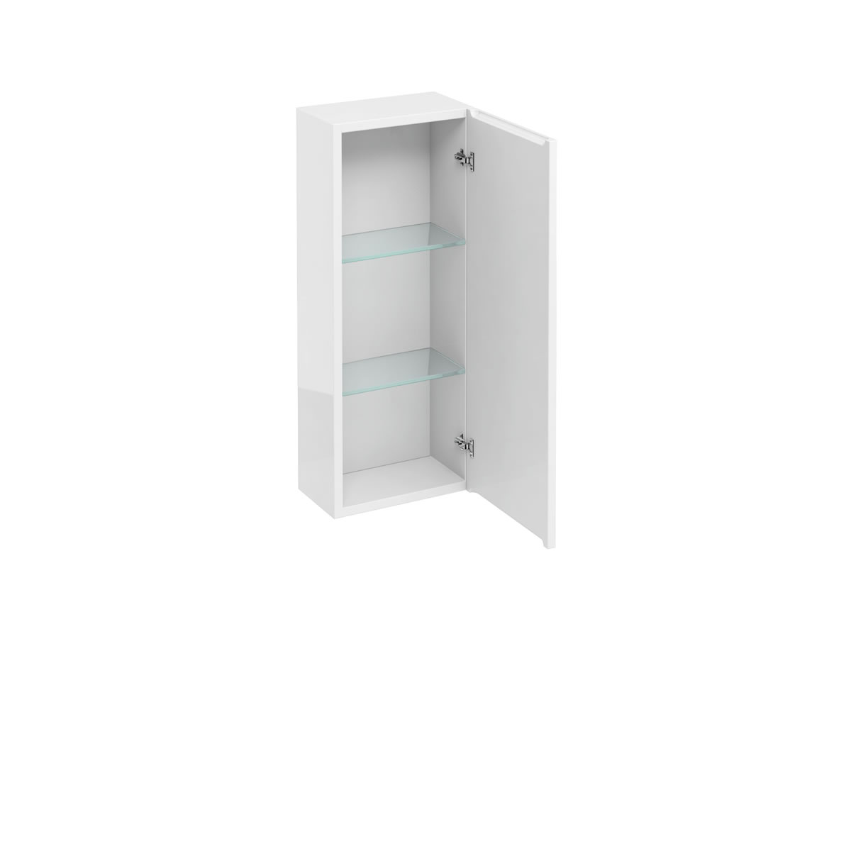 300 single door wall cabinet